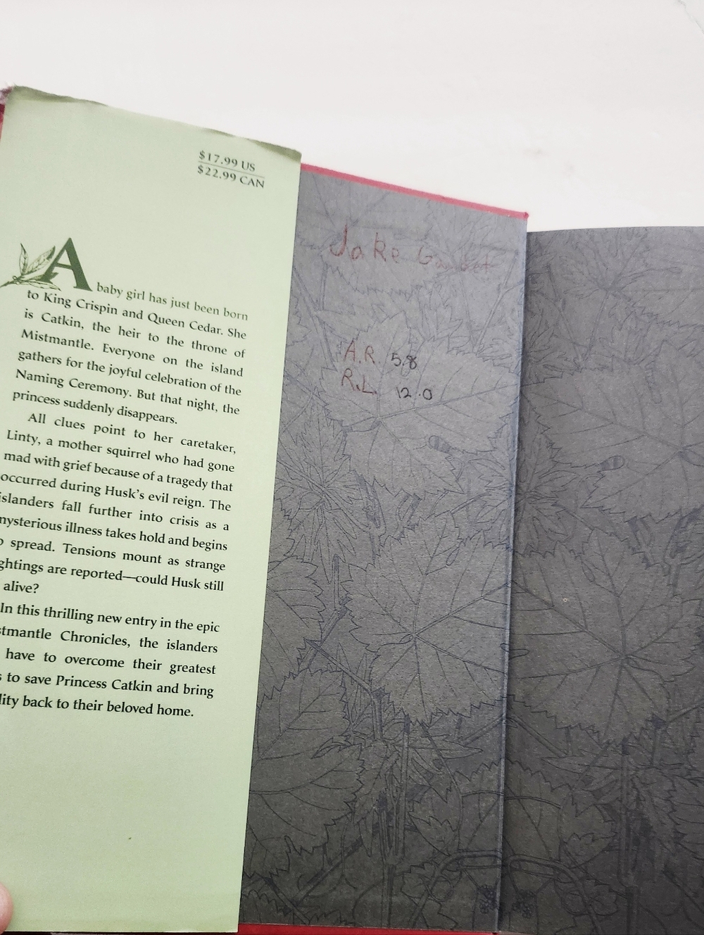 Book - Picture 6 of 11